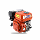  6.5HP Gasoline Engine 2 Iinch- 4 Inch Water Pump Ql-168f