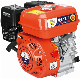 Recoil Start General Purpose Small Powerful Gasoline Engine off 3% Points