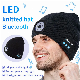  Beanie Hat with Bt Wireless Earphone