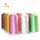  China Supplies Rainbow Color Cheap 100 Polyester Embroidery Thread 120d/2