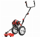 Petrol Grass Ce EMC Hand Push 52cc Brush Cutter
