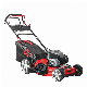  Spot Supply OEM Collapsible Adult 4 in 1 Brush Cutter with 8 Position Central Adjustment