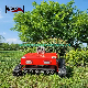  Remote Control Lawn Mower Brush Cutter Slope Mower for Sale