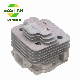 Brush Cutter Mitsubishi Tl33 Tl43 T52 Tu43 Cylinder Piston Kit manufacturer