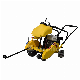  Lower Price Ey20 5HP Gasoline Engine Floor Saw Cutter for Peru