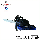Heavy Duty Two Stroke CS5800 Gas Chainsaw manufacturer