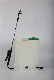 20L Knapsack Pesticide Agricultural Agriculture Hand Electric Battery Powered Operated Sprayer