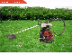 Professional Garden Tools Gasoline Brush Cutter