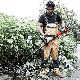  Telescopic Aluminum Cordless Hand Held 21V Lithium Battery String Trimmer Grass Cutter Brush Cutter