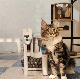 Big Pet Vacuum Cleaner 5 in 1 with Brush and Cutter