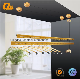 Aluminium Balcony Ceiling Mounted Hand Operated Cloth Rack