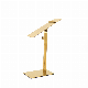  Best Selling Metal Steel Gold Shoes Display Shelf Decorative Shelving Shoes Display Rack for Shoe Bag Store