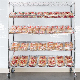 Commercial Retail Store Display Cargo Wire Shelving Rack