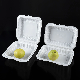  Customized Eco-Friendly Biodegradable Disposable Food Container Lunch Box