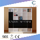 Modern 5 Doors Office Cabinet Wooden Display Rack (CAS-FC31418)