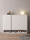  Space Saving Shoes Cabinet Multi-Layer Storage Shoe Rack Display Customized Furniture