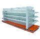  Supermarket Display Cosmetic Floor Shelf Rack for Cosmetic Store