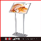  Factory Price Custom Stamping Part Display Stand