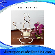  Wedding Celebrate Candle Display Stand with Lowest Price