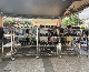 Wholesale Chrome Wire Shopping Mall Display Racks