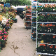 Greenhouse Steel Outdoor Nursery Plant Display Racks