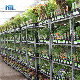  Greenhouse Shipping Nursery Transport Cc Steel Flower Display Plant Racks