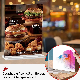  ISO BSCI Factory Wholesale Custom Acrylic Product Display Stand