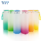  Portable Straight Sublimation Water Cup Blank Frosted Glass Water Bottle with Custom UV 3D 5D Printing