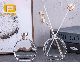  Various Size Glass Fragrance Bottle with Stopper Reed Fragrance Bottle Lali Giant Clear Transparent Beautiful Glass Bottles for Sale Wholesale Suppliers