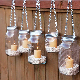  Wholesale Eco-Friendly Green Candle Jars 8 Oz for Glass Candle Holders DIY Glass Candle Holder