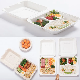  Take Away Disposable Lunch Box Biodegradable 2 Compartment Food Containers for restaurant