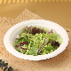  100% Compostable Sugarcane Bagasse Biodegradable Disposable Paper Container Bowl Food Packing Containers for Soup
