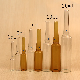  1ml 2ml 3ml 5ml Amber Clear Pharmaceutical Glass Ampoule Bottle for Injection