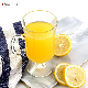  High Quality Wholesale Unique Design Glass Mugs Transparent Glass Cup Coffee Mug for Tea Wine Water Drinking Borosilicate Glass Cup Glassware