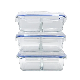  Two Compartments Fruit Storage Containers High Borosilicate Glass Food Meal Prep Containers with Knife and Fork Lid