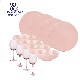  Wholesale Tableware 12PCS Pink Dinner Set with Ceramic Bowl and Plate, Fancy Stemware Goblet