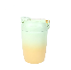  Portable BPA Free Tumbler Double Wall Stainless Steel Straw Plastic Water Bottle