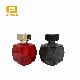  30ml 50ml 100ml High-End Popular Perfume Bottle with Golden Perfume Cap Pump Collar