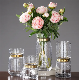  Mouth Blown Glassware Nordic Brass Neck Glass Flower Vase for Home Decor