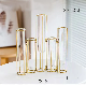 Customized Wedding Clear Glass Test Tube Flower Vase Geometric Terrarium Decorative Vase manufacturer