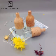  Wholesale Wooden 30ml Vintage Retro Household Interior Hotel Decoration No Fire Reed Diffuser Perfume Glass Bottle