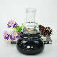  Clear Swirl Dwarf Glass Bottle for Beverage Juice Water
