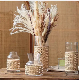  Mouth Blown Glass Products -Cane Wrapped Glass Flower Vase for Home Decor Glassware