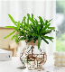  Glass Art Flower Home Decoration Desktop Tall Transparent Borosilicate Glass Flower Vase with Cork Lid