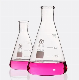  500ml Erlenmeyer Glass Bottle Laboratory Borosilicate Glassware Capacity Flask Bottle