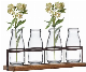  Hot Sale Glass Milk Bottle Linear Glass Medicine Bottle with Metal Basket
