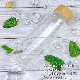  20oz High Borosilicate Glass Custom Water Bottle with Wooden Bamboo Lid