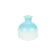  Empty Glass Bottle Multicolors Aromatic Reed Diffuser Bottles Aromatherapy Oil Glass Cosmetic Bottle Packaging Round