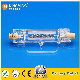 P2/13 Dxx 230V800W R7s Base Halogen Lamp