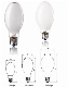  High Pressure Fluorescent Mercury Vapor Lamps Low Price and Good Quality 80W/125W/175W/250W/400W/1000W
